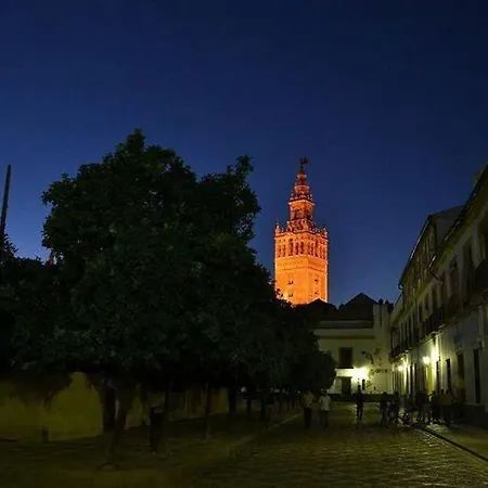 Entero De 170m2 A 1 Min De La Catedral Lejlighed Sevilla